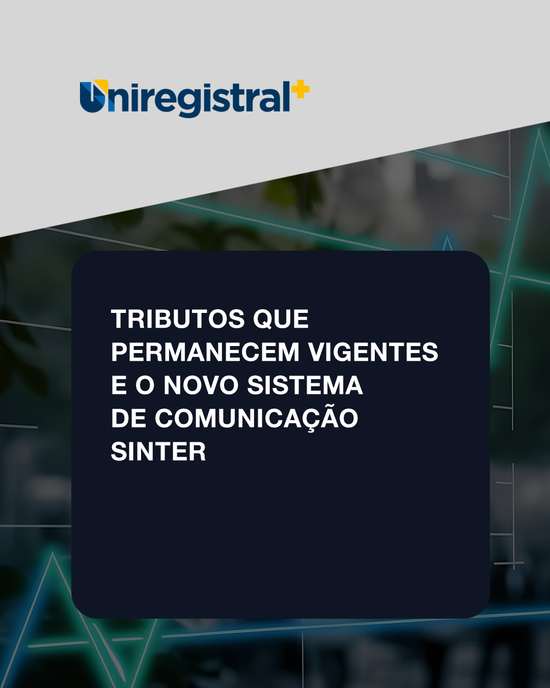 aula-6